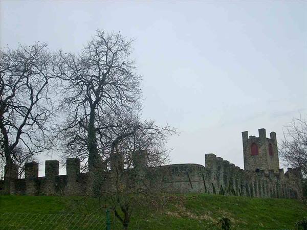 Stone crenellated walls and castle tower under grey sky, bare trees