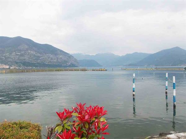 Red flowers by Lake Iseo, blue mooring poles and cloud-covered mountains