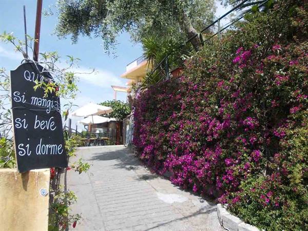 Chalkboard sign beside a stone lane covered in bougainvillea