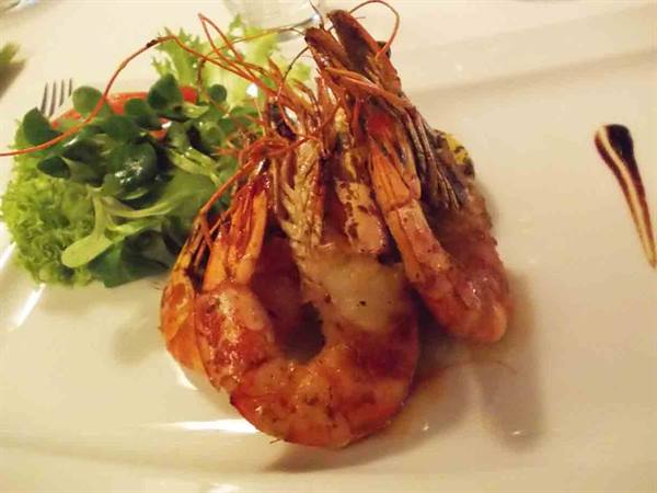 Roasted prawns on white plate with green salad and sauce