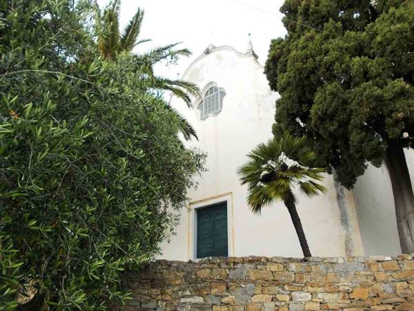 White church with green door among palms, olive trees and stone wall