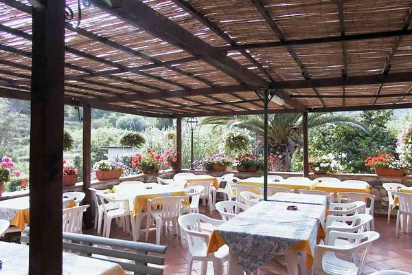 Reed-covered terrace with set tables, white plastic chairs and potted flowers