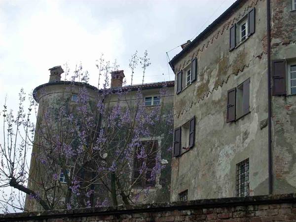 Old cylindrical tower and plastered facade with dark shutters, blossoming tree in front