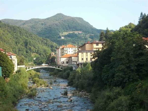 Rocky river, white bridge and houses among green wooded hills