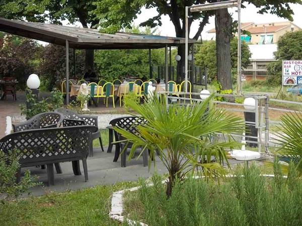Black chairs and palm in a restaurant garden with set tables under the gazebo