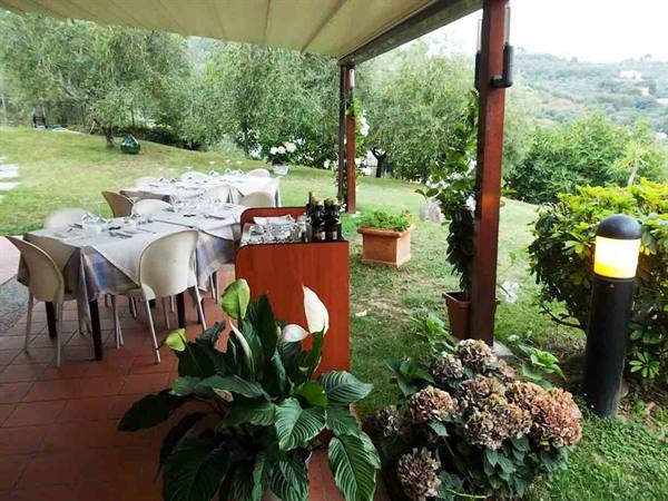 Set tables under wooden canopy, hydrangeas and calla lilies in the garden