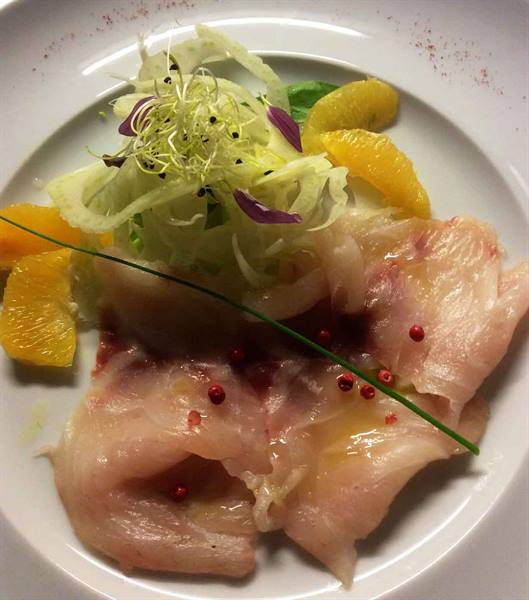 Raw fish carpaccio with oranges, fennel and sprouts on white plate