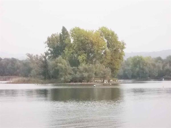 Small island with green and yellow trees in a misty lake