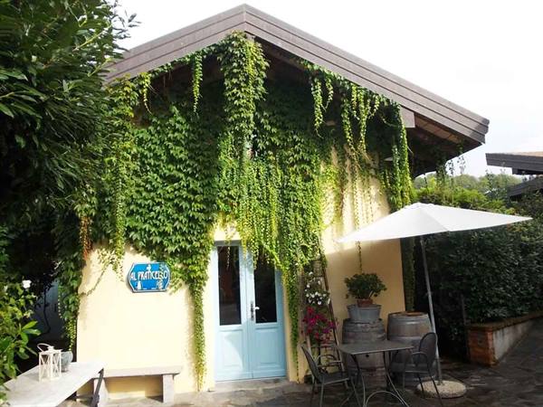 Il Frantesco farmhouse: yellow building draped in ivy, tables under white umbrella
