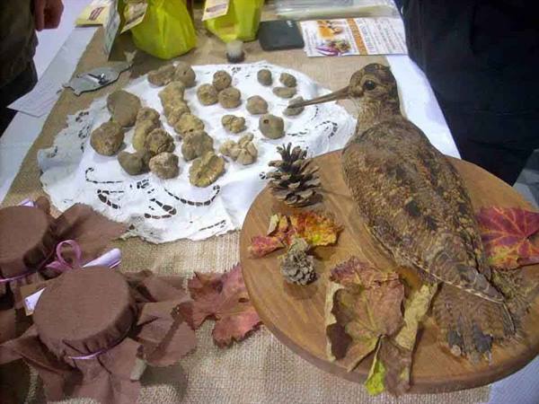 Stuffed woodcock on wooden board with leaves and pinecones beside truffles
