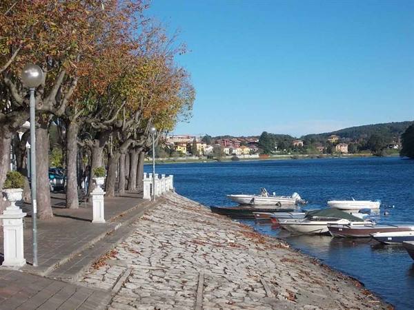 Lakeside promenade with autumn trees and moored boats, Lake Viverone