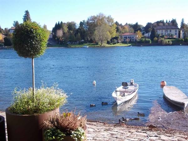 Motorboats and ducks by the lakeshore, potted shrubs, houses behind the trees