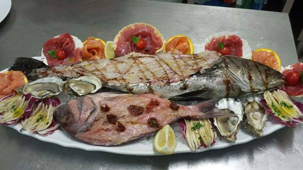 Grilled fish, oysters and seafood platter on a steel counter