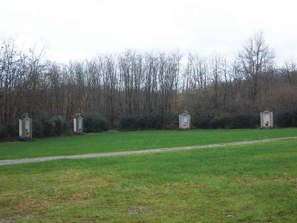 Stone shrines lined up on a lawn in front of bare woods