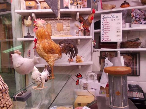 Shop window with ceramic roosters and hens among shelves and a price list