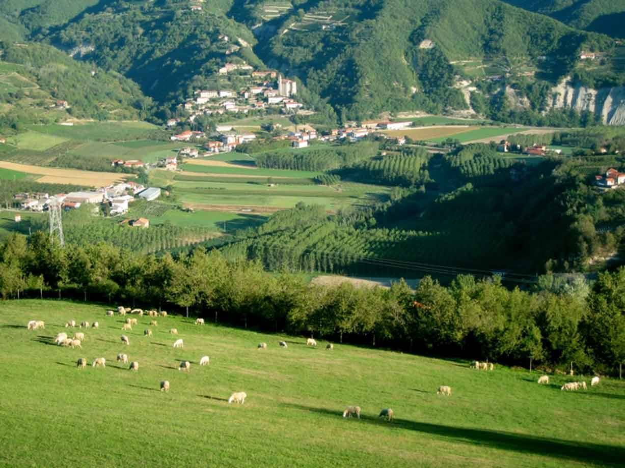 Mucche al pascolo su prato verde, villaggio tra colline coltivate in valle