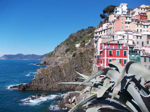Riomaggiore, colorful houses on the cliff above the sea, agave plant in foreground