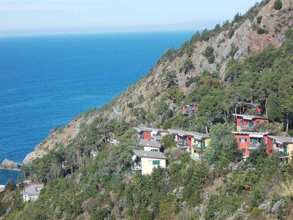 Colorful houses among trees on a slope above the blue sea