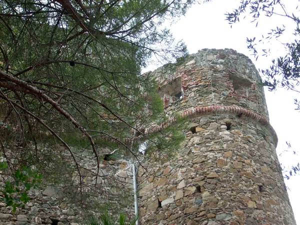 Round stone tower of an old castle, hidden among pine branches
