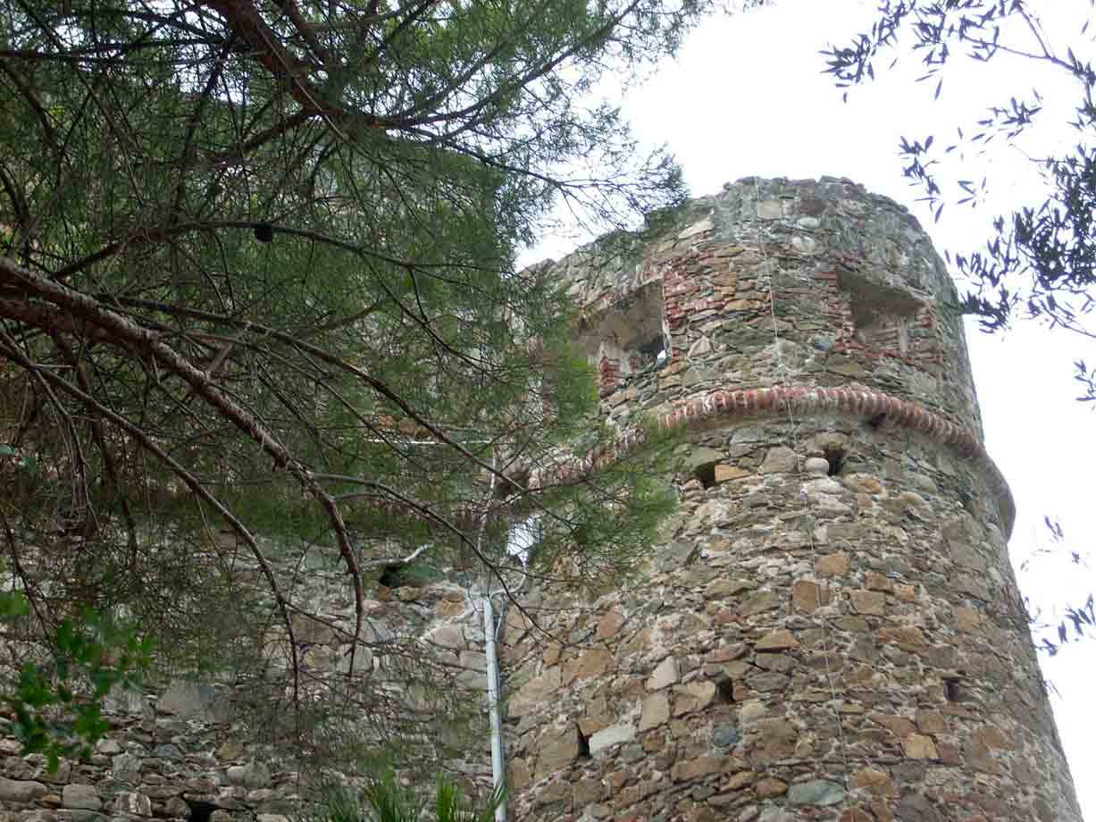 Torre circolare in pietra di un antico castello, nascosta tra rami di pino