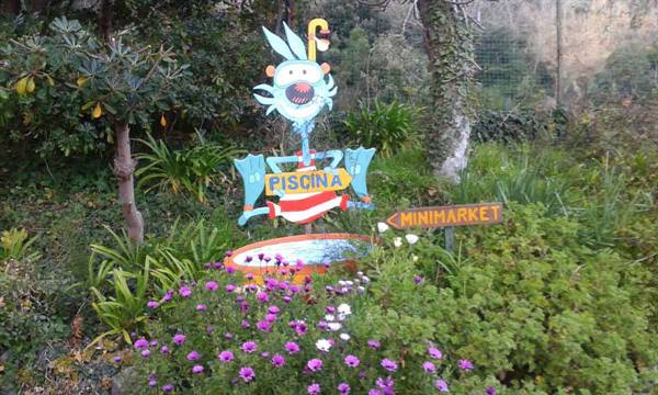 Painted mascot sign points to the pool among purple flowers and greenery