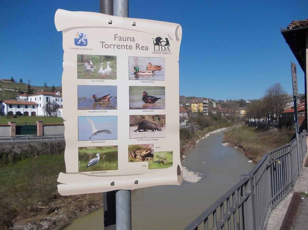 Cartello sulla fauna del Torrente Rea, con uccelli e fauna locale