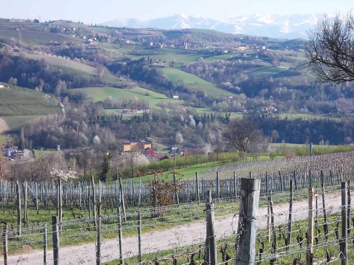 Vigneti invernali su colline verdi, villaggi sparsi e Alpi innevate sullo sfondo
