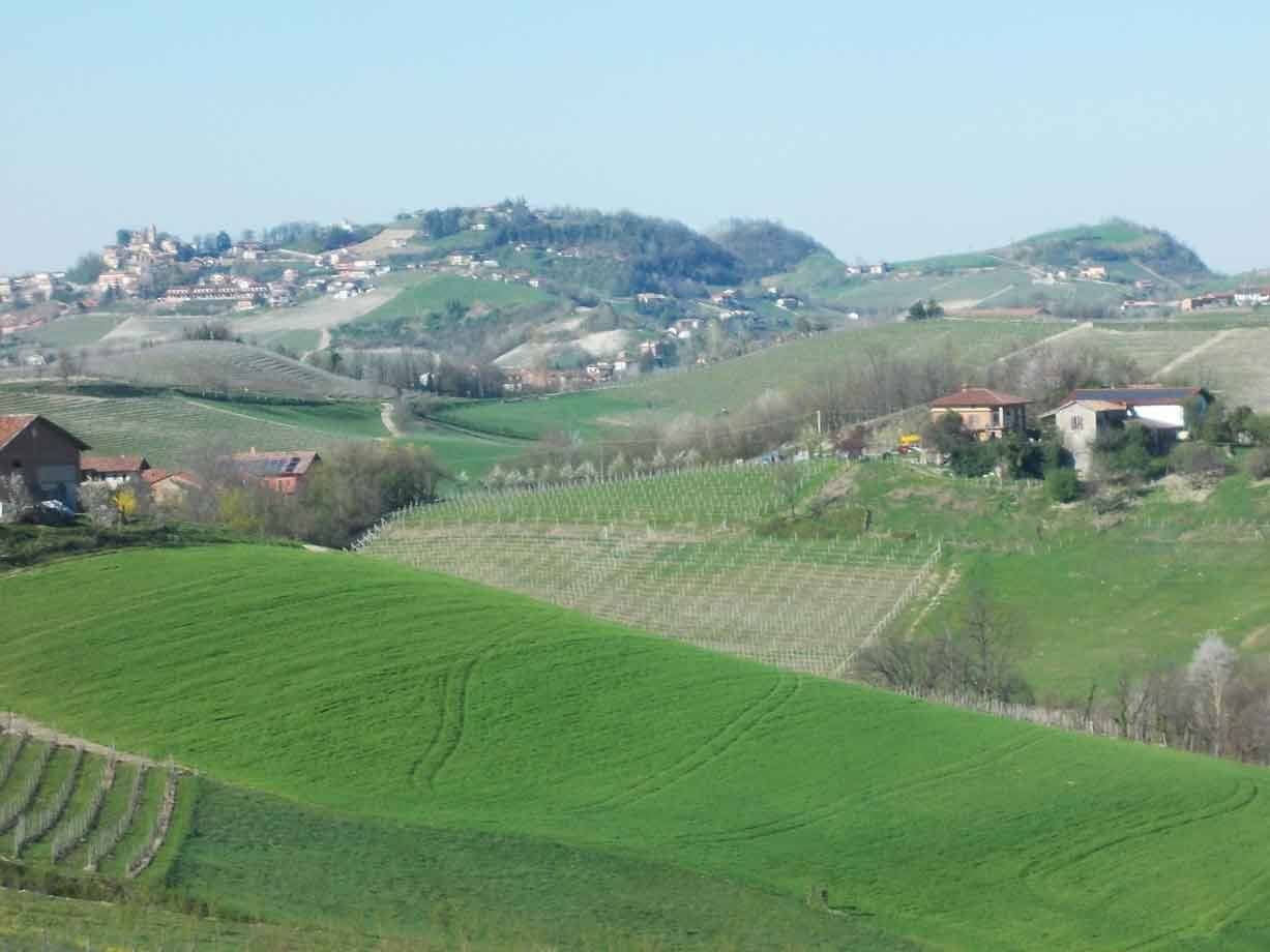 Colline coltivate a vigneti e prato verde, case sparse e un borgo in lontananza