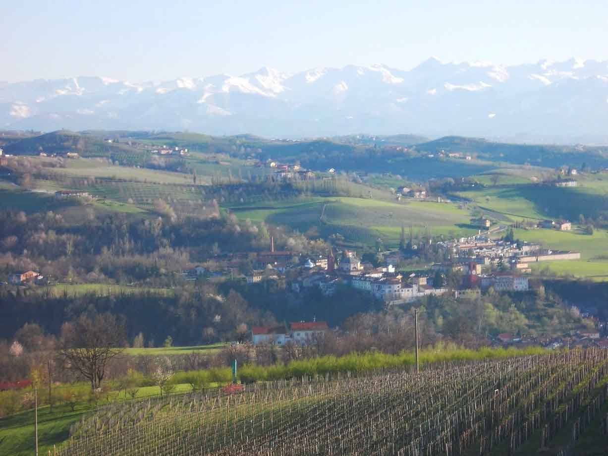Vigneti in collina davanti a un borgo e Alpi innevate all'orizzonte
