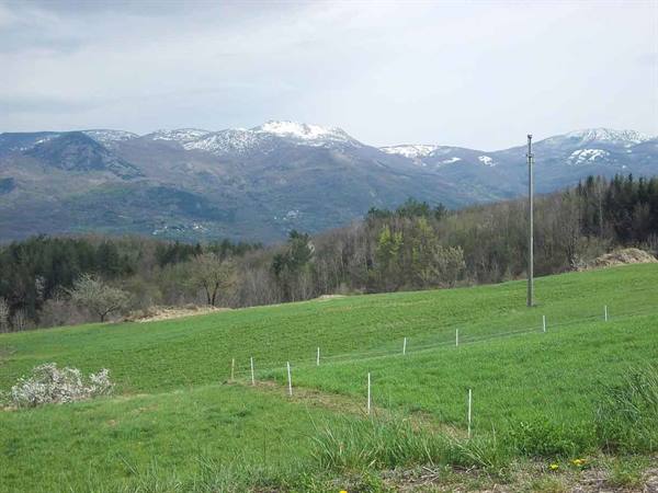 Green fenced field with white poles, woods and snowy mountains under cloudy sky