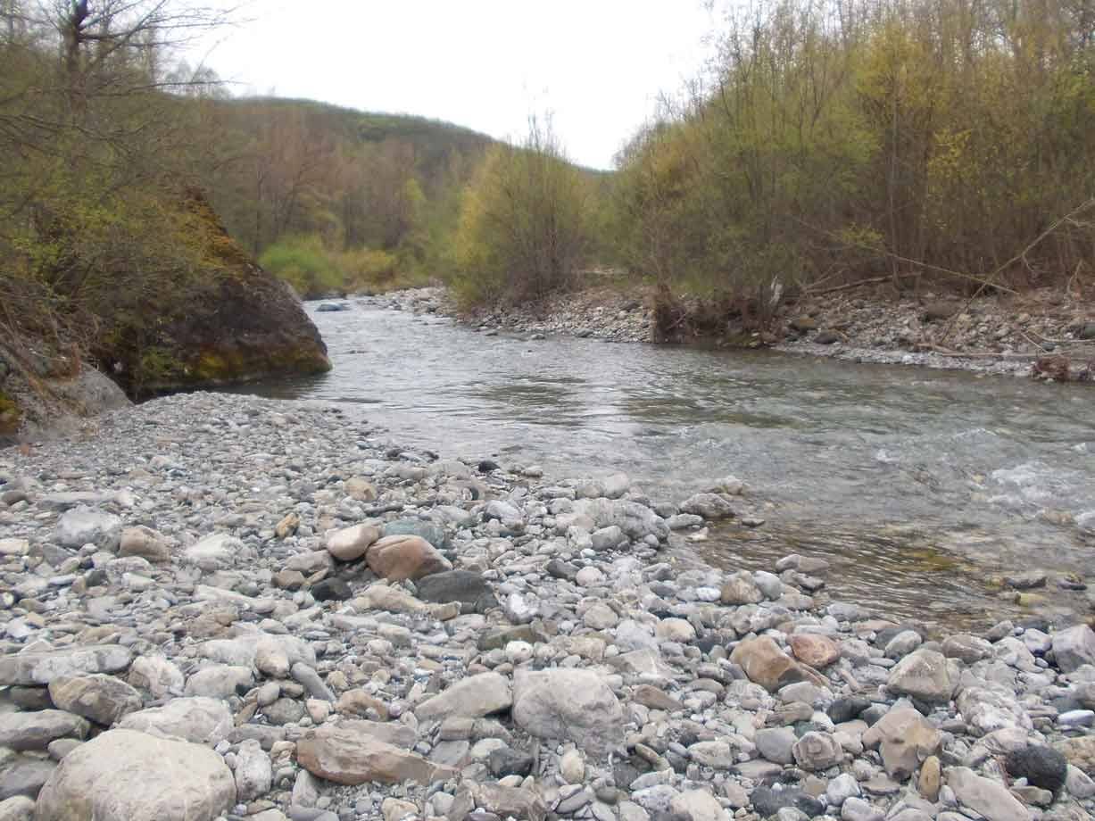 Fiume scorre tra ciottoli grigi e alberi spogli in campagna
