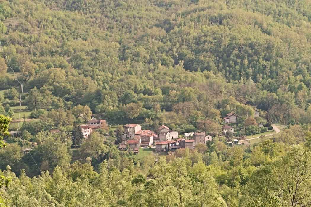 Piccolo borgo di case in pietra circondato da boschi verdi sulle colline