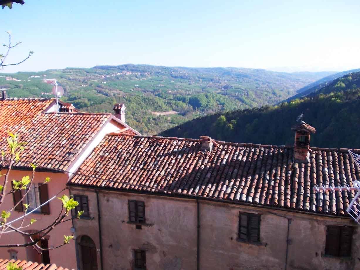 Tetti in coppi di un borgo di pietra sopra colline verdi