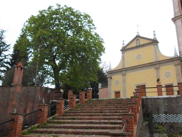 Brick staircase leading to the yellow church facade, large tree on the left