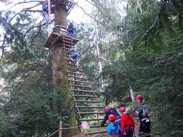 Kids in red helmets climb a wooden ladder up a fir tree at the adventure park
