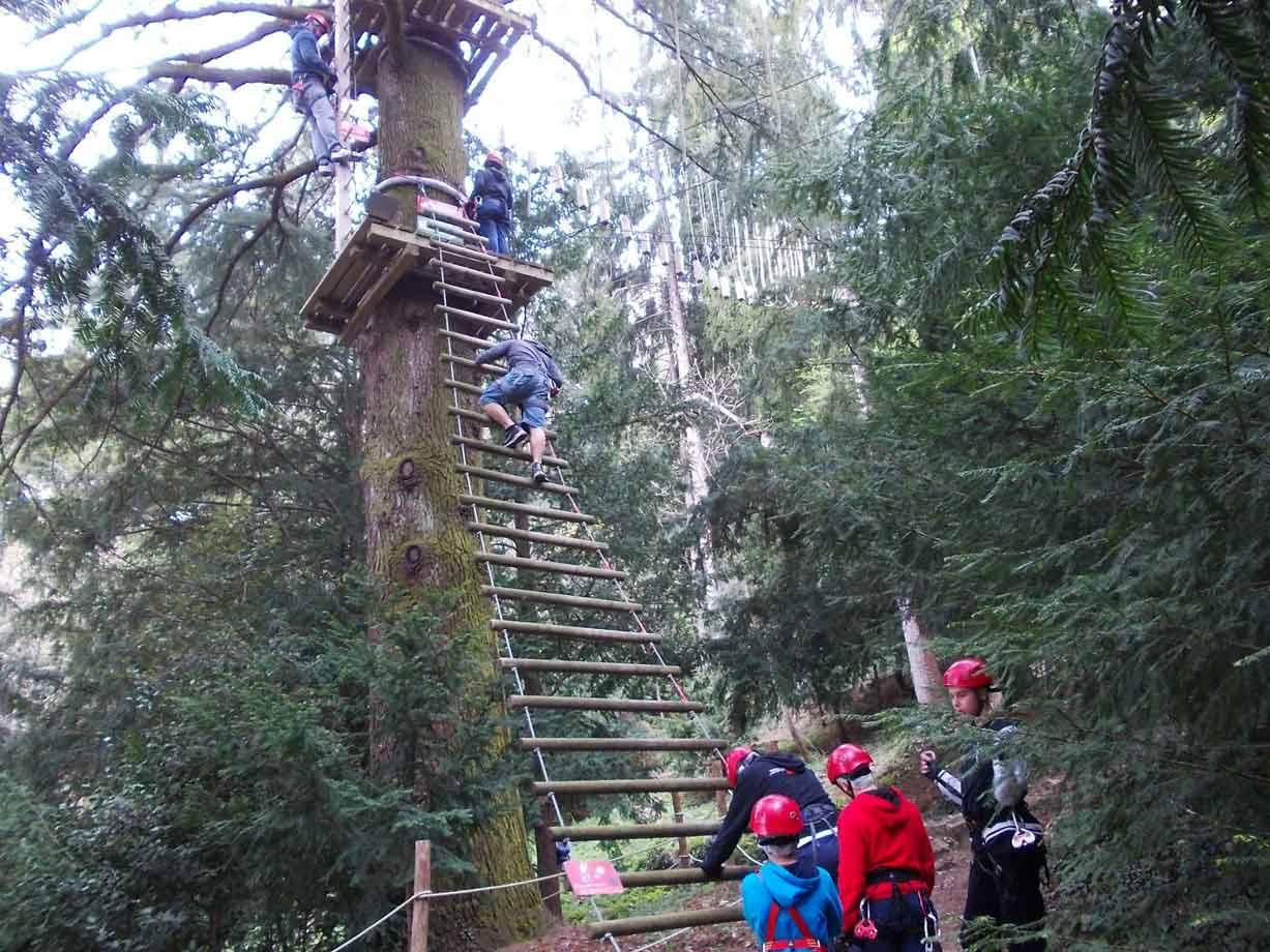 Ragazzi con casco rosso salgono una scala di legno su un abete nel parco avventura