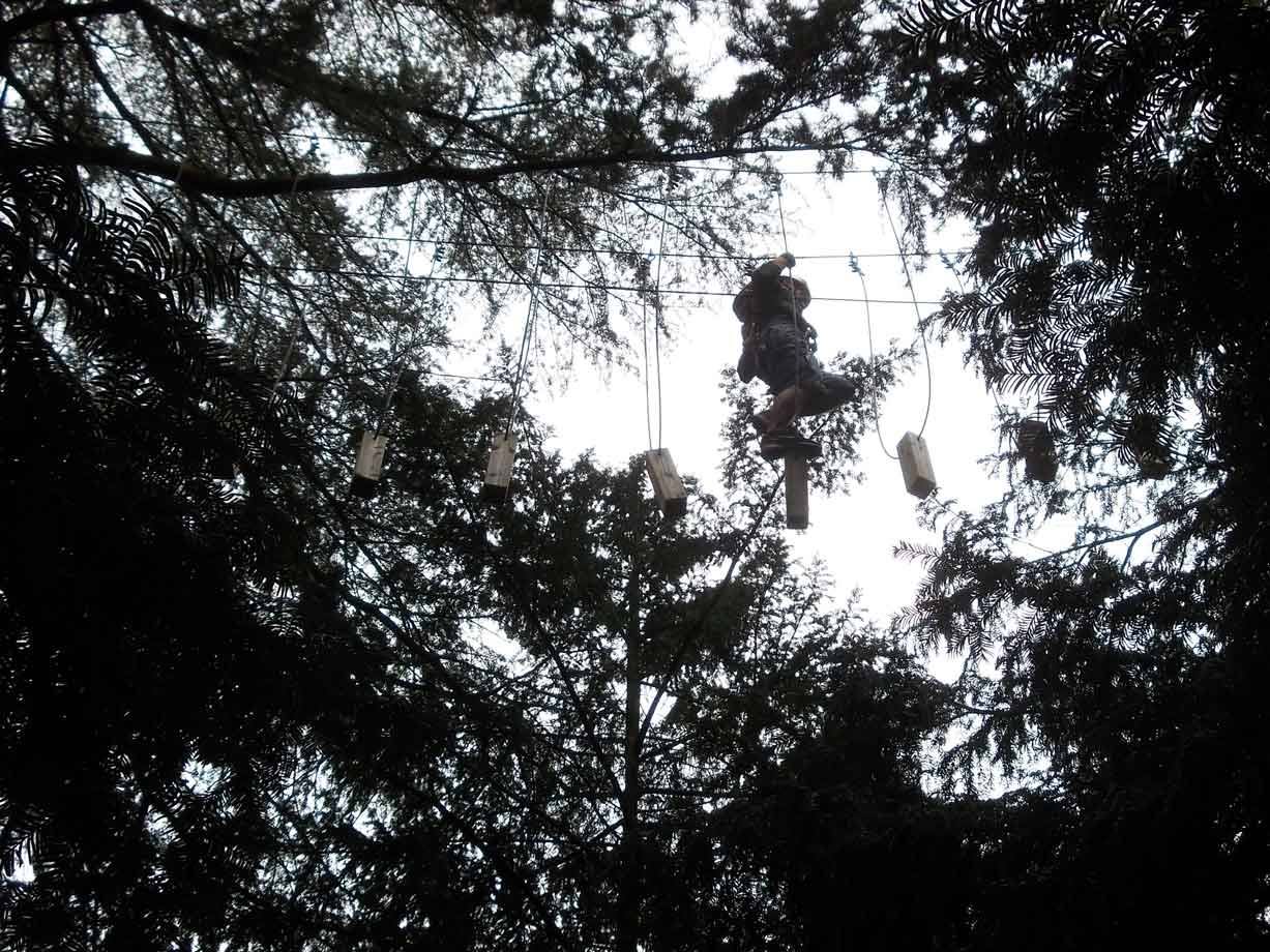 Bambino su passaggio di tronchi sospesi tra gli alberi, parco avventura