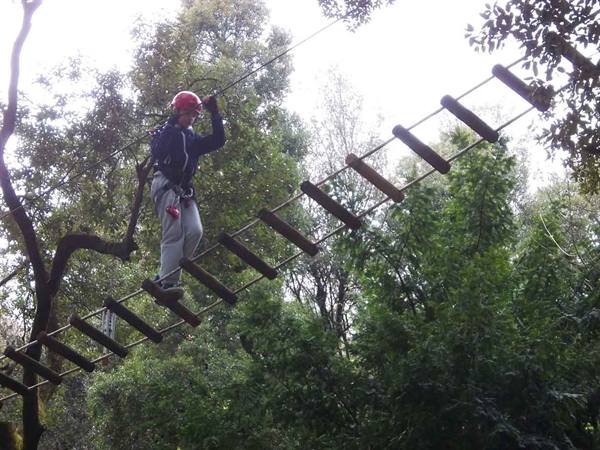 Boy in red helmet crosses suspended log bridge between trees at adventure park
