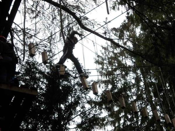Person in harness walking on suspended logs in treetop adventure park