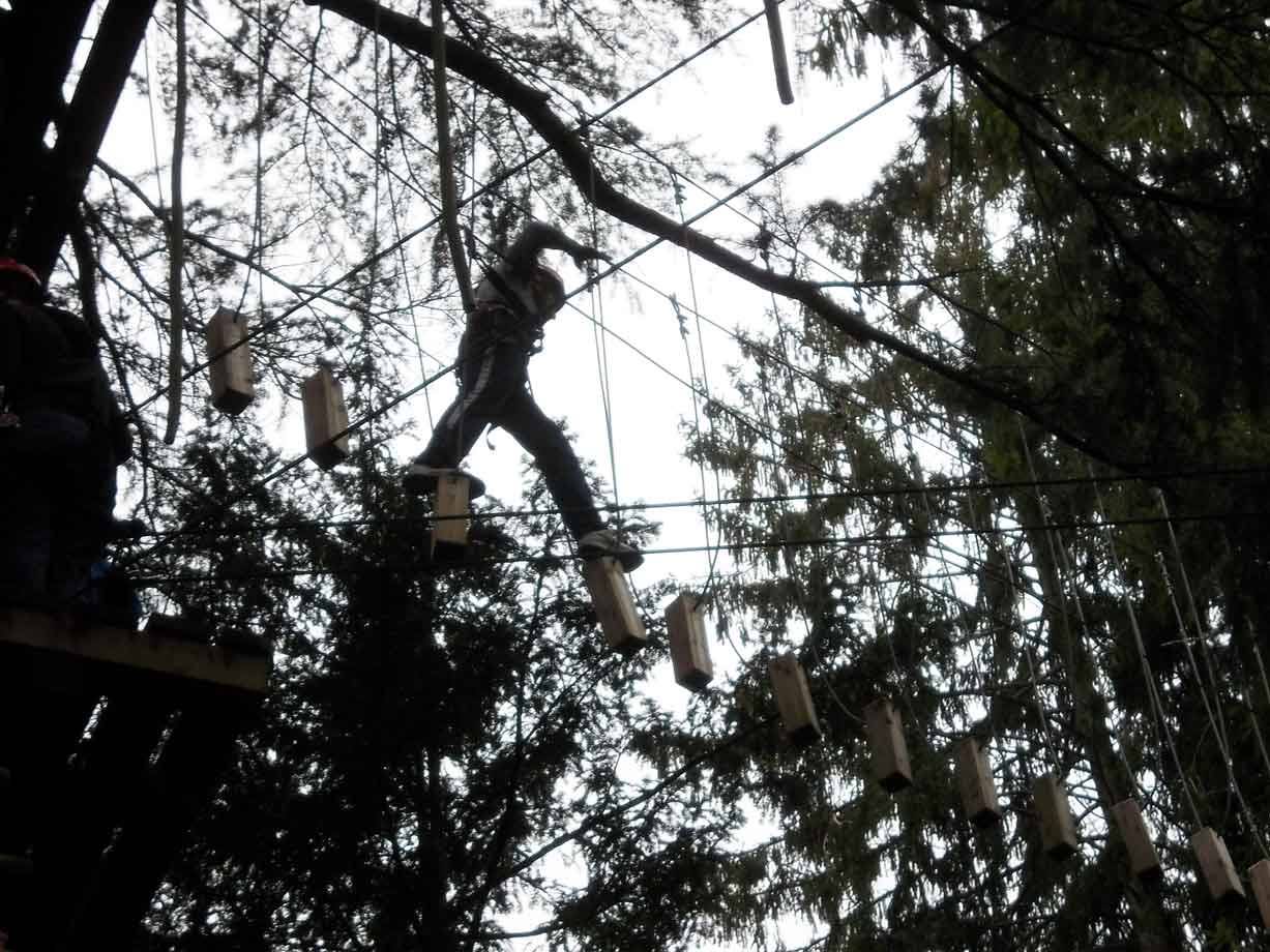 Persona con imbragatura cammina su tronchi sospesi nel parco avventura tra alberi