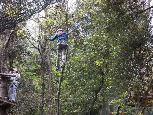 Girl wearing helmet and harness walks on suspended ropes between trees at adventure park