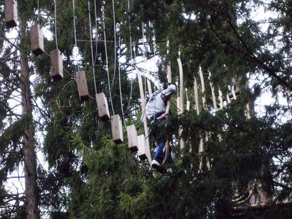 Boy in helmet crosses suspended logs between firs at the adventure park