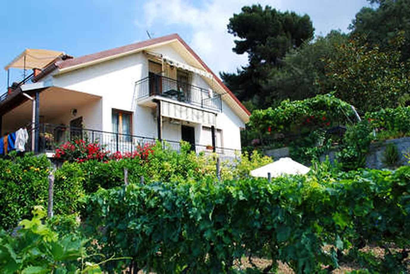 Casa bianca con balcone tra vigne e fiori rossi, alberi verdi sullo sfondo