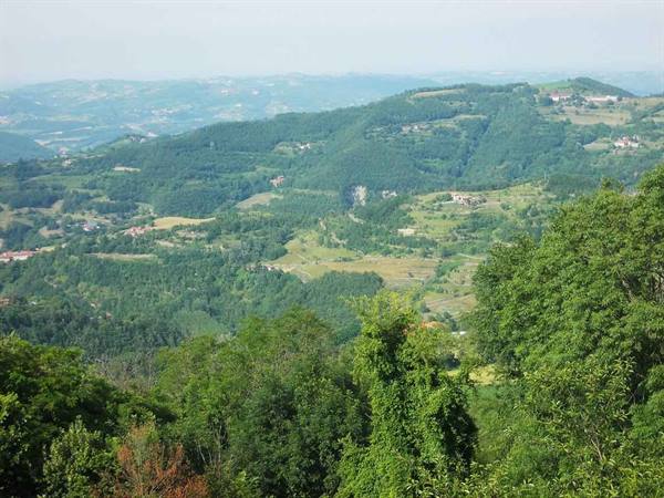 Green hills with woods and scattered houses under a pale sky