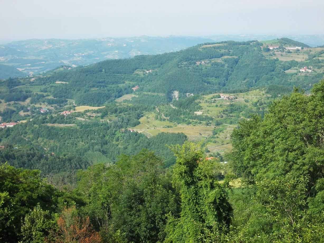 Colline verdeggianti con boschi e case sparse sotto cielo pallido