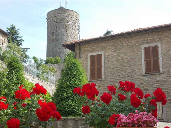 Red roses in front of stone houses and an ancient round tower