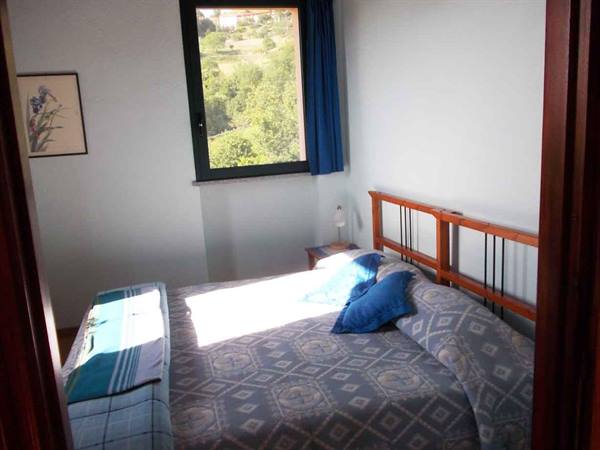 Bedroom with wooden bed frame, sunlight and window open onto the hillside