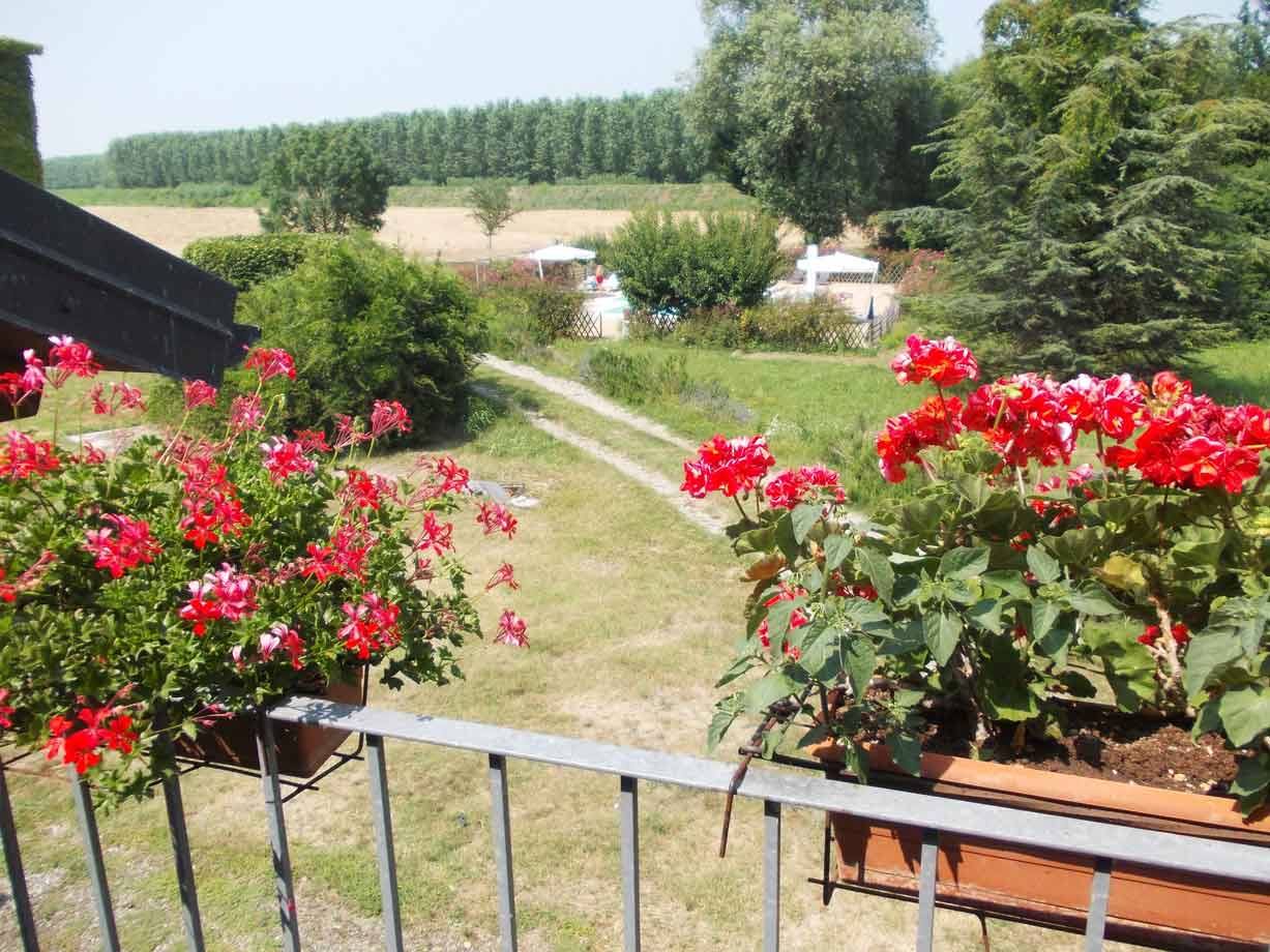 Gerani rossi sui davanzali del balcone sopra il giardino verde