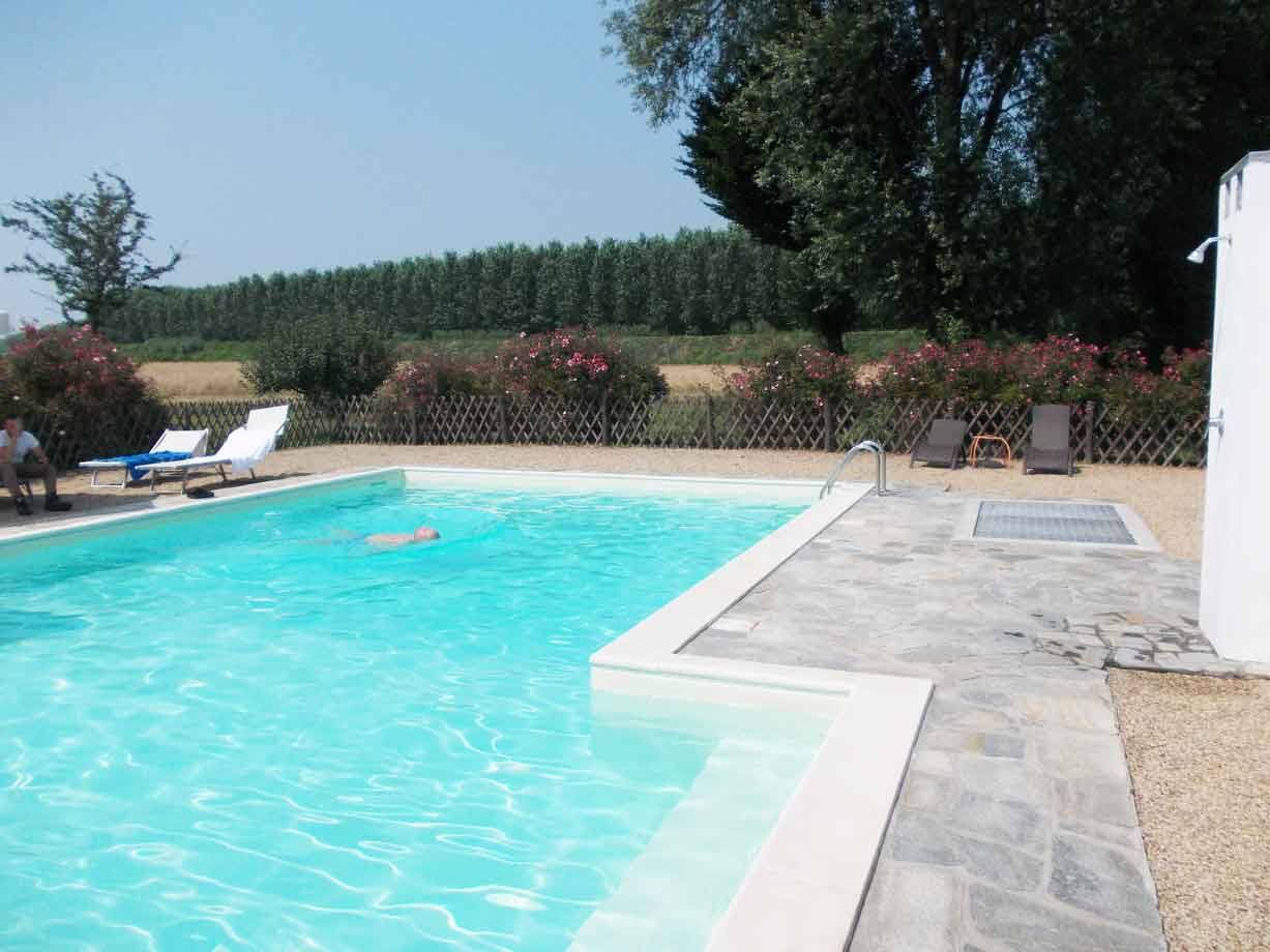 Nuotatore nella piscina a sfioro, sdraio e rose tra i campi coltivati