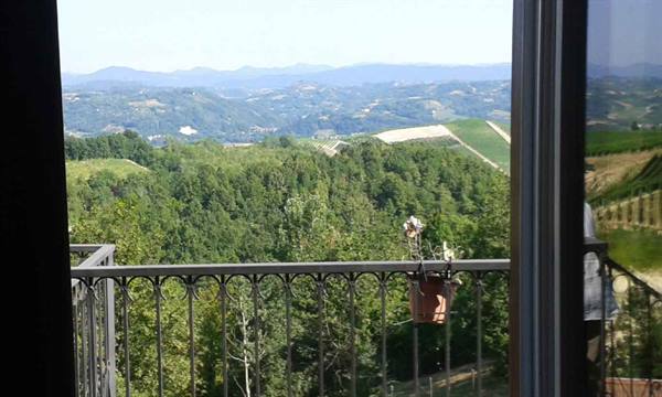 Flower pot on iron balcony railing overlooking green cultivated hills
